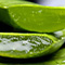 Aloe Vera Extract