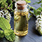 Peppermint Extract